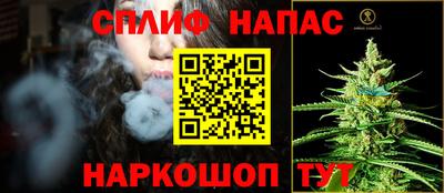 шишки Апшеронск