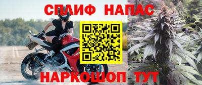 шишки Апшеронск