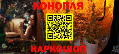 шишки Апшеронск