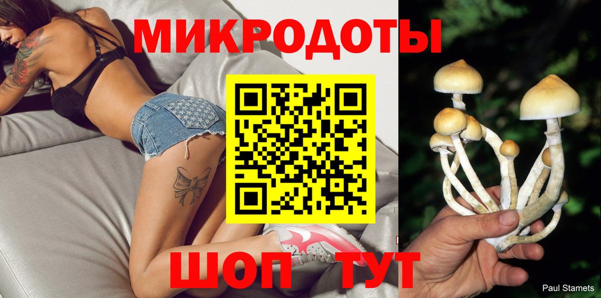 Псилоцибиновые грибы Psilocybine cubensis  Вход с VPN  Беслан 